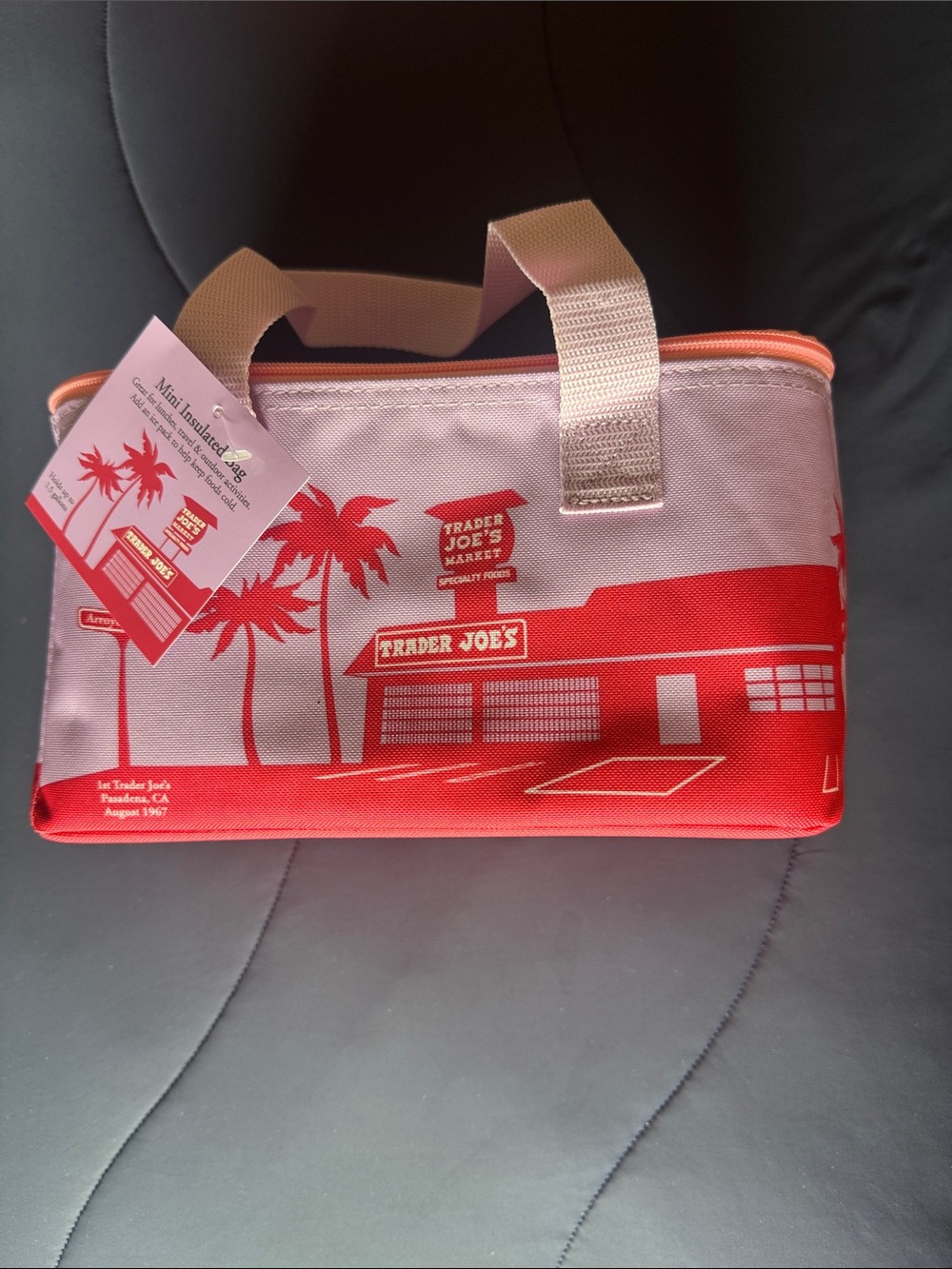 Trader Joe's Mini Insulated Bag- lunchbox - Teal & Purple with Pink Trim
